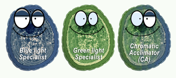 Screenshot 2025-08-18 at 2.13.04 PM